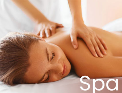 layanan la-litaspa (1)