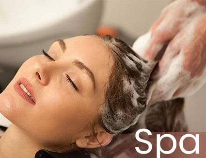 layanan la-litaspa (4)