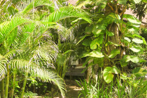 Best Spa Kuta Lombok