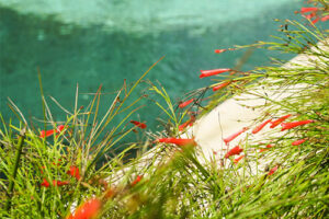 spa massage in kuta lombok